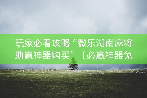 玩家必看攻略“微乐湖南麻将助赢神器购买”（必赢神器免费安装)