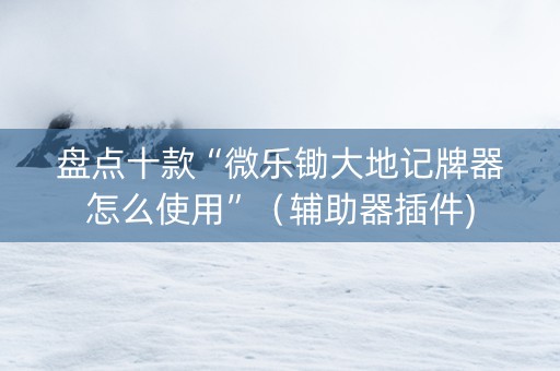 盘点十款“微乐锄大地记牌器怎么使用”（辅助器插件)