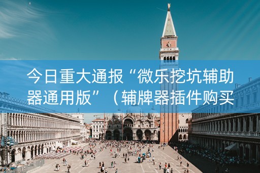 今日重大通报“微乐挖坑辅助器通用版”（辅牌器插件购买)