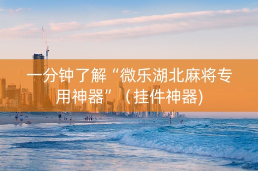 一分钟了解“微乐湖北麻将专用神器”（挂件神器)
