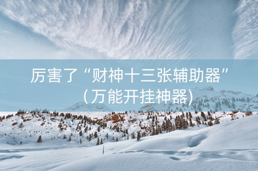厉害了“财神十三张辅助器”（万能开挂神器)