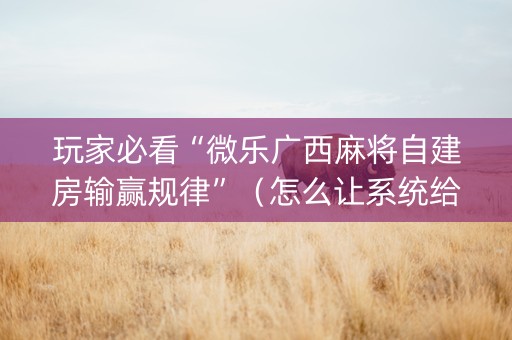 玩家必看“微乐广西麻将自建房输赢规律”（怎么让系统给自己好牌)