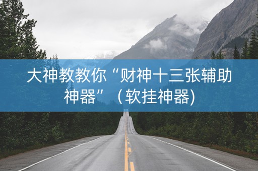 大神教教你“财神十三张辅助神器”（软挂神器)