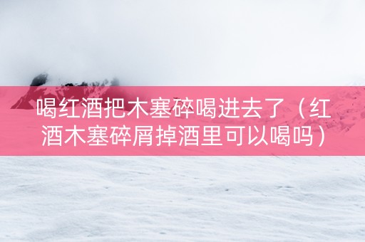 喝红酒把木塞碎喝进去了（红酒木塞碎屑掉酒里可以喝吗）
