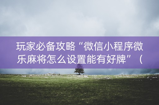 玩家必备攻略“微信小程序微乐麻将怎么设置能有好牌”（辅助器通用版)