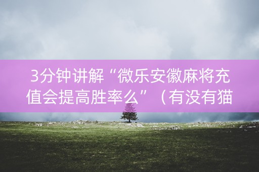 3分钟讲解“微乐安徽麻将充值会提高胜率么”（有没有猫腻)