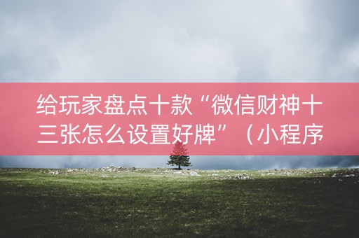 给玩家盘点十款“微信财神十三张怎么设置好牌”（小程序辅助软件)