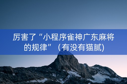 厉害了“小程序雀神广东麻将的规律”（有没有猫腻)