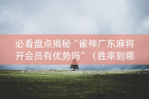 必看盘点揭秘“雀神广东麻将开会员有优势吗”（胜率到哪调)