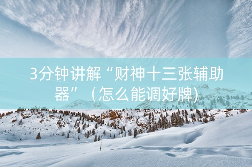 3分钟讲解“财神十三张辅助器”（怎么能调好牌)