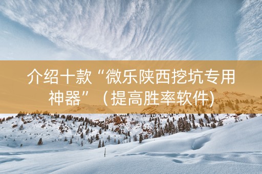介绍十款“微乐陕西挖坑专用神器”（提高胜率软件)