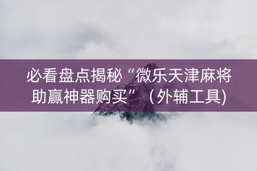 必看盘点揭秘“微乐天津麻将助赢神器购买”（外辅工具)