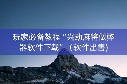 玩家必备教程“兴动麻将做弊器软件下载”（软件出售)