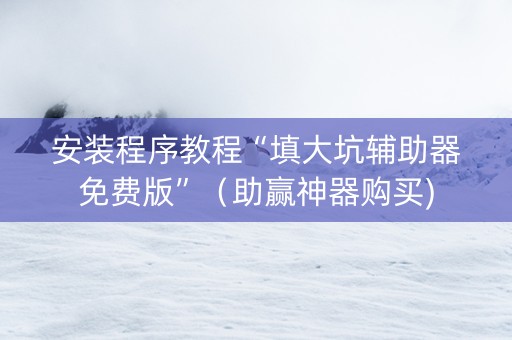 安装程序教程“填大坑辅助器免费版”（助赢神器购买)