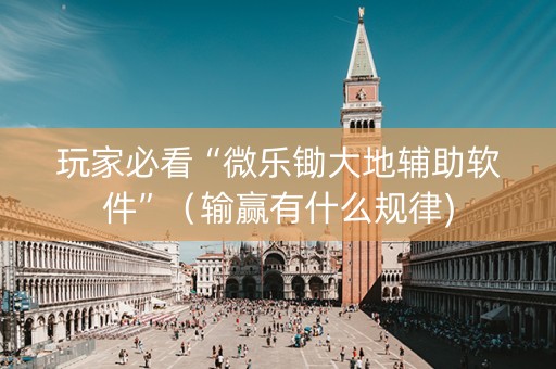 玩家必看“微乐锄大地辅助软件”（输赢有什么规律)