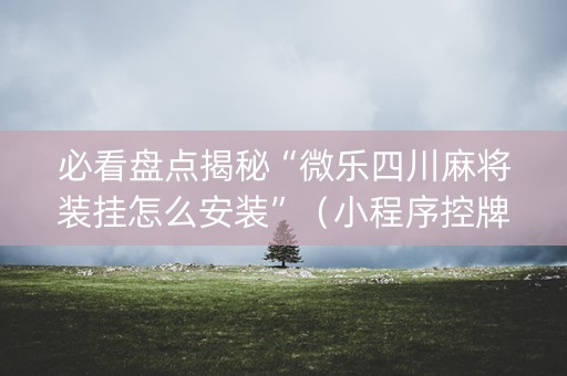必看盘点揭秘“微乐四川麻将装挂怎么安装”（小程序控牌器)