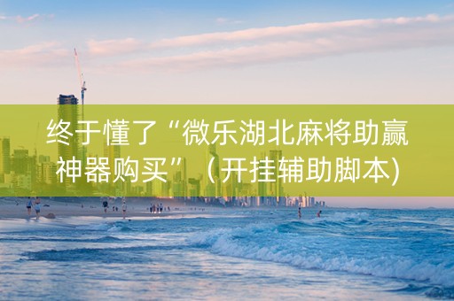 终于懂了“微乐湖北麻将助赢神器购买”（开挂辅助脚本)