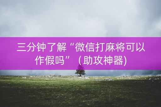 三分钟了解“微信打麻将可以作假吗”（助攻神器)