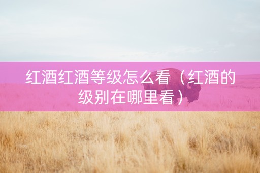 红酒红酒等级怎么看（红酒的级别在哪里看）