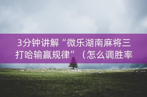 3分钟讲解“微乐湖南麻将三打哈输赢规律”（怎么调胜率)