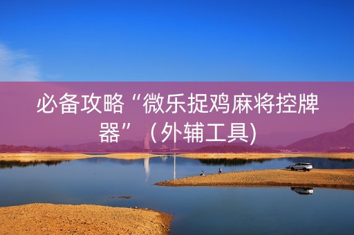 必备攻略“微乐捉鸡麻将控牌器”（外辅工具)