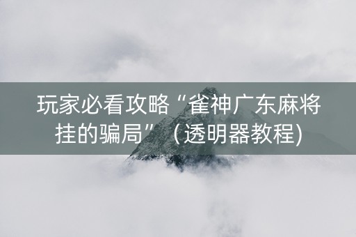 玩家必看攻略“雀神广东麻将挂的骗局”（透明器教程)