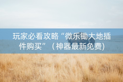 玩家必看攻略“微乐锄大地插件购买”（神器最新免费)