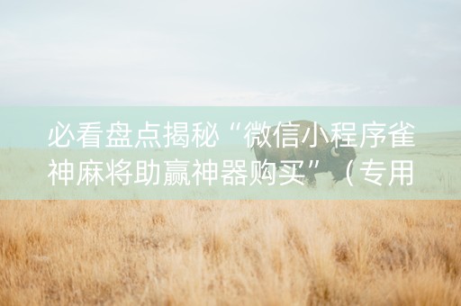 必看盘点揭秘“微信小程序雀神麻将助赢神器购买”（专用神器)