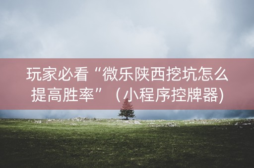 玩家必看“微乐陕西挖坑怎么提高胜率”（小程序控牌器)