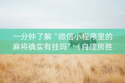 一分钟了解“微信小程序里的麻将确实有挂吗”（自建房胜负规律)