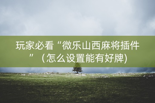 玩家必看“微乐山西麻将插件”（怎么设置能有好牌)