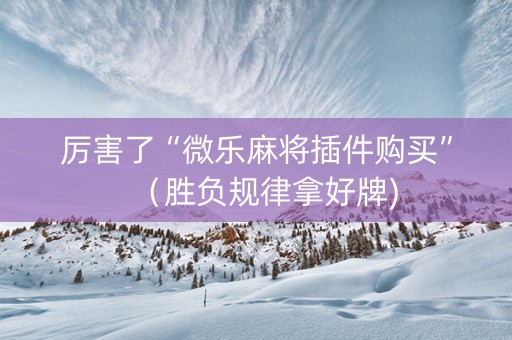 厉害了“微乐麻将插件购买”（胜负规律拿好牌)
