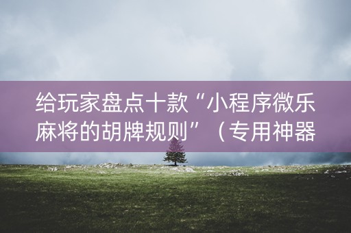 给玩家盘点十款“小程序微乐麻将的胡牌规则”（专用神器)