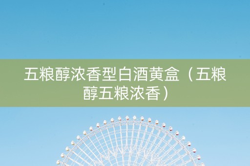 五粮醇浓香型白酒黄盒（五粮醇五粮浓香）