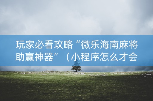 玩家必看攻略“微乐海南麻将助赢神器”（小程序怎么才会赢)