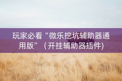 玩家必看“微乐挖坑辅助器通用版”（开挂辅助器插件)