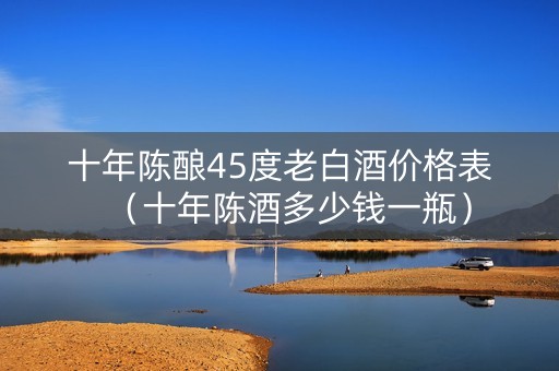 十年陈酿45度老白酒价格表（十年陈酒多少钱一瓶）