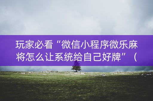 玩家必看“微信小程序微乐麻将怎么让系统给自己好牌”（如何让系统发好牌)