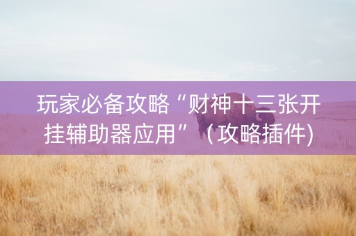 玩家必备攻略“财神十三张开挂辅助器应用”（攻略插件)