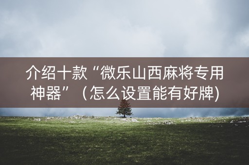介绍十款“微乐山西麻将专用神器”（怎么设置能有好牌)