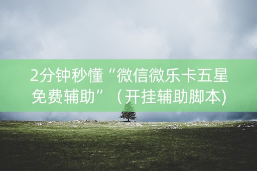 2分钟秒懂“微信微乐卡五星免费辅助”（开挂辅助脚本)
