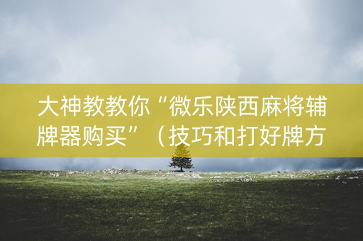 大神教教你“微乐陕西麻将辅牌器购买”（技巧和打好牌方法)
