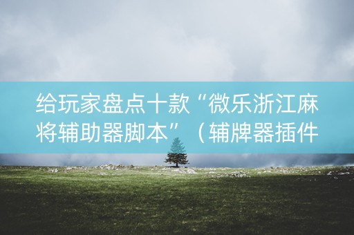 给玩家盘点十款“微乐浙江麻将辅助器脚本”（辅牌器插件购买)