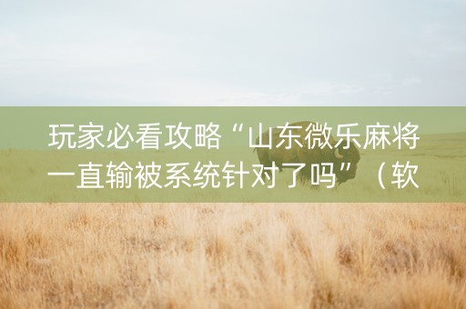 玩家必看攻略“山东微乐麻将一直输被系统针对了吗”（软挂神器)