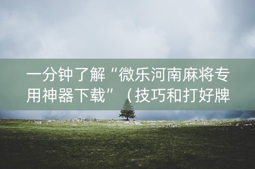一分钟了解“微乐河南麻将专用神器下载”（技巧和打好牌方法)