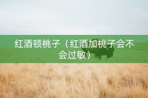 红酒顿桃子（红酒加桃子会不会过敏）
