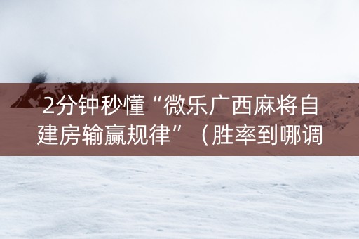 2分钟秒懂“微乐广西麻将自建房输赢规律”（胜率到哪调)