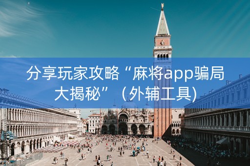 分享玩家攻略“麻将app骗局大揭秘”（外辅工具)