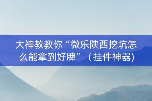 大神教教你“微乐陕西挖坑怎么能拿到好牌”（挂件神器)