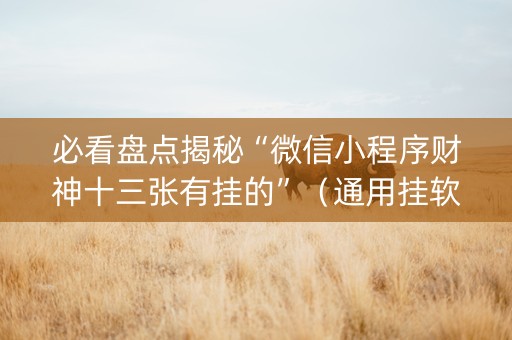 必看盘点揭秘“微信小程序财神十三张有挂的”（通用挂软件多少钱)